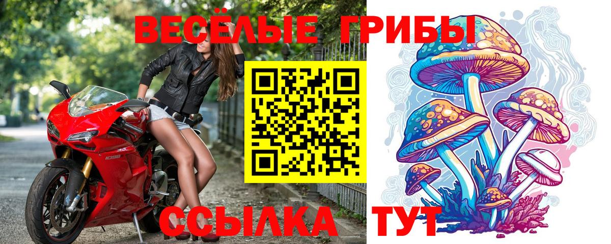 Псилоцибиновые грибы ЛСД Кимовск