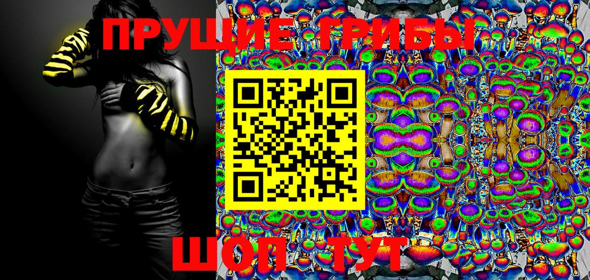 Кимовск  Псилоцибиновые грибы MAGIC MUSHROOMS  Вход с VPN 